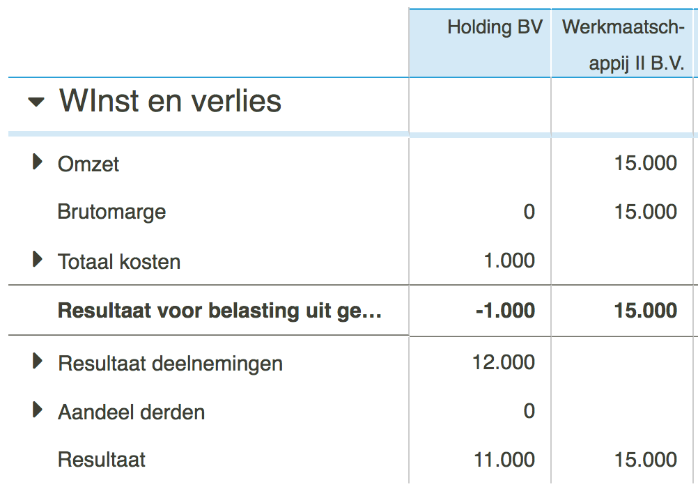 Consolidatie met aandeel derden